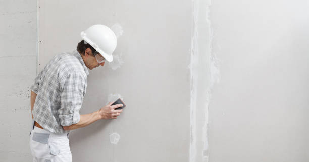 Reliable Longbranch, WA Drywall & Painting Services Solutions